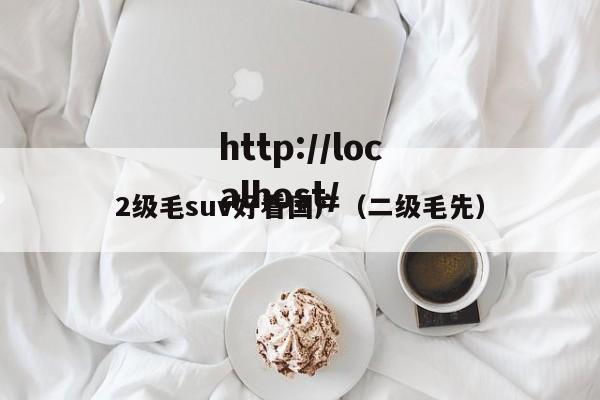2级毛suv好看国产（二级毛先）